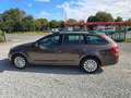 Skoda Octavia Combi Ambition TÜV NEU Brun - thumbnail 3