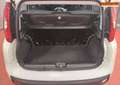 Fiat Panda 1.2 LPG * Airco* V/E *1 an Garantie * 220€ X 36 Wit - thumbnail 10