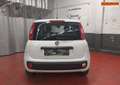 Fiat Panda 1.2 LPG * Airco* V/E *1 an Garantie * 220€ X 36 Wit - thumbnail 4