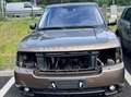 Land Rover Range Rover Range Rover 4,4 TDV8 Vogue Bronze - thumbnail 4