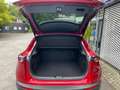 Mazda CX-30 Homura Rot - thumbnail 6