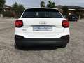 Audi Q2 30 TFSI 30 MILA KM!! PARI AL NUOVO Wit - thumbnail 5