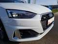 Audi A5 40 TDI S-tronic advanced Navi Keyle Weiß - thumbnail 13