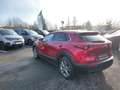 Mazda CX-30 e-Skyactive G140 Exclusive-Line 2,5 4-Zylinder ... Rouge - thumbnail 8