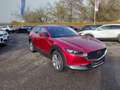 Mazda CX-30 e-Skyactive G140 Exclusive-Line 2,5 4-Zylinder ... Rouge - thumbnail 4