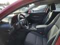Mazda CX-30 e-Skyactive G140 Exclusive-Line 2,5 4-Zylinder ... Rouge - thumbnail 3