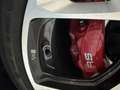 Audi A4 RS4 Avant Competit Plus TFS 331 kW tiptr Gris - thumbnail 15