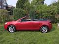 Volkswagen Golf Cabriolet 1.2 TSI, 78880 Km, merci de Lire la description Rood - thumbnail 9