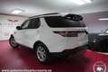 Land Rover Discovery 2.0SD4 SE Aut. Weiß - thumbnail 4