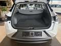 Hyundai NEXO ACC LED Navi Leder DAB+ Spurassist. BLIS Blanc - thumbnail 8