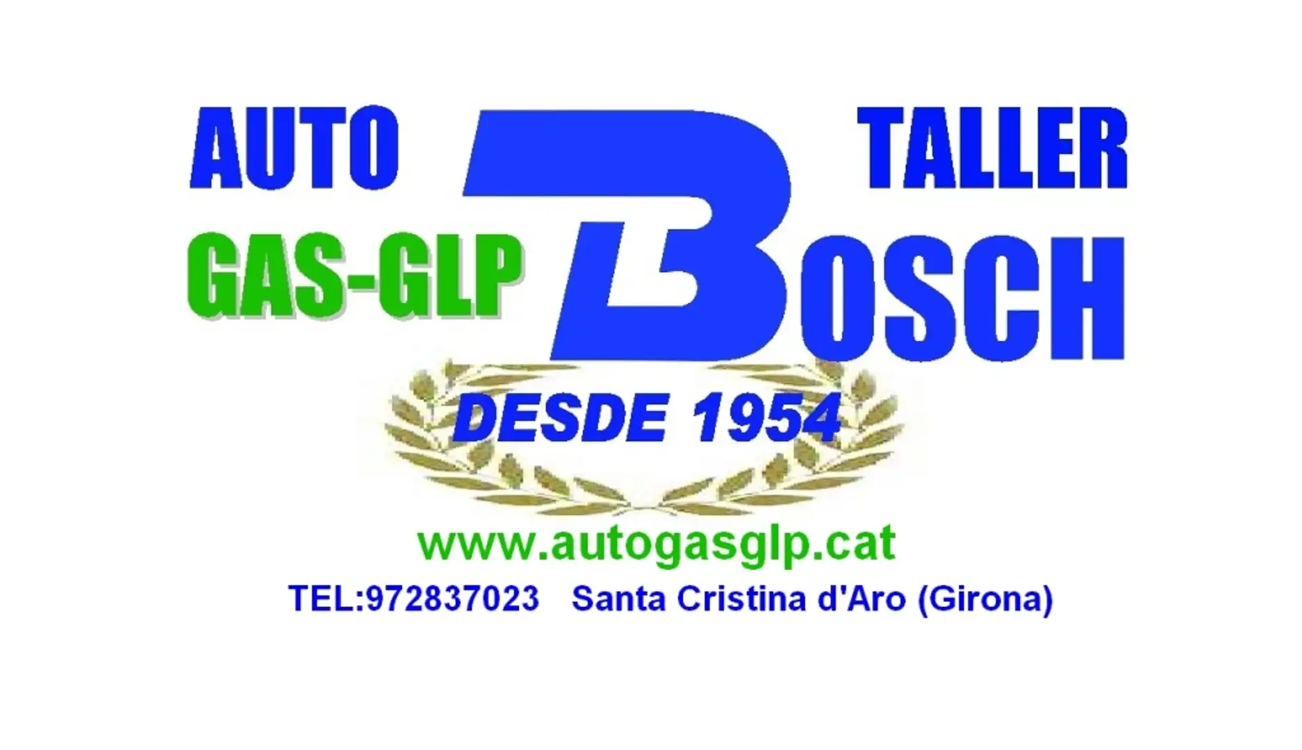 SEAT Arona 1.0 TSI Ecomotive S&S Xcellence DSG7 115 Blanco - 2