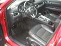 Mazda CX-5 CD175 AWD AT Revolution Top Rot - thumbnail 10