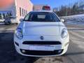 Fiat Punto Punto III 2012 5p 1.4 natural power Street 70cv E6 - thumbnail 2