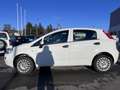 Fiat Punto Punto III 2012 5p 1.4 natural power Street 70cv E6 - thumbnail 6