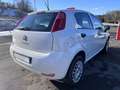 Fiat Punto Punto III 2012 5p 1.4 natural power Street 70cv E6 - thumbnail 8