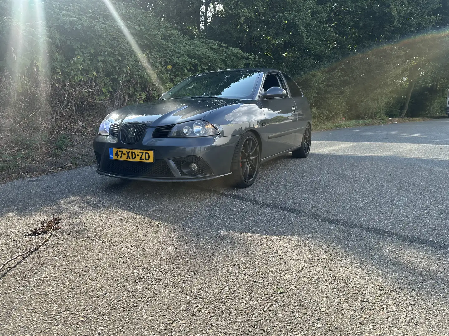 SEAT Ibiza 1.6-16V Freestyle Grijs - 1