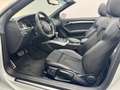 Audi A5 2.0 16V TDI+S-LINE+KAMERA+BANG&OLUFSEN+XENON+ Weiß - thumbnail 8