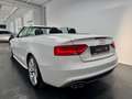 Audi A5 2.0 16V TDI+S-LINE+KAMERA+BANG&OLUFSEN+XENON+ Weiß - thumbnail 7