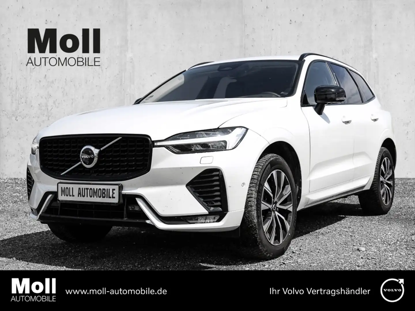 Volvo XC60 Plus Dark 2WD B4 Diesel EU6d digitales Cockpit Mem Weiß - 1