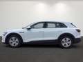 Audi 50 e-tron quattro *LED*KAMERA*NAVI* Weiß - thumbnail 9