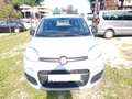 Fiat Panda HYBRID  (FINANZIAMENTO NON OBBLIGATORIO) Grigio - thumbnail 3