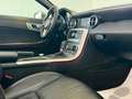 Mercedes-Benz SLK 200 SLK Roadster - R172 (cgi be) Premium Argento - thumbnail 15