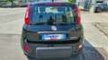 Fiat Panda 1.0 FireFly S&S Hybrid Schwarz - thumbnail 5