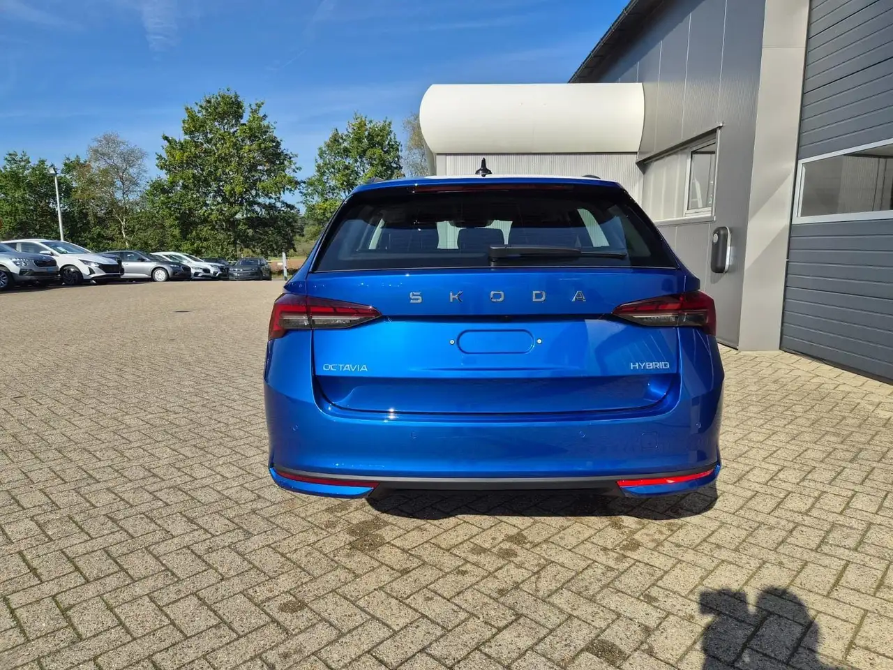 Skoda Octavia, фото 4