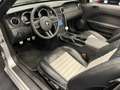 Ford Mustang Convertible 4.6i V8 GT 335PK Roush Limited Nr. 05- Silber - thumbnail 19