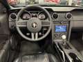 Ford Mustang Convertible 4.6i V8 GT 335PK Roush Limited Nr. 05- Silber - thumbnail 18