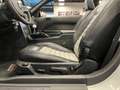 Ford Mustang Convertible 4.6i V8 GT 335PK Roush Limited Nr. 05- Silber - thumbnail 21