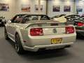 Ford Mustang Convertible 4.6i V8 GT 335PK Roush Limited Nr. 05- Silber - thumbnail 10