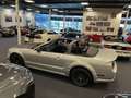 Ford Mustang Convertible 4.6i V8 GT 335PK Roush Limited Nr. 05- Silber - thumbnail 16