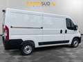 Opel Movano LCV Furg. 30-L2 H1 BlueHDi S&S 120 Weiß - thumbnail 5