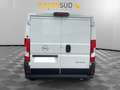 Opel Movano LCV Furg. 30-L2 H1 BlueHDi S&S 120 Weiß - thumbnail 3