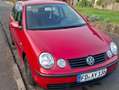 Volkswagen Polo Polo 1.4 Rouge - thumbnail 2