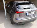 Lexus NX 300h NX 300h F Sport Hybrid Aut. F Sport Grau - thumbnail 2