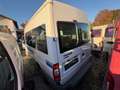 Ford Transit FT 300 M Trend Motor Schaden Weiß - thumbnail 13