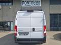 Citroen Jumper 435 L3H2 2.2 140CV BLUEHDI PACK TECNO + FULL OPT.! Bianco - thumbnail 6