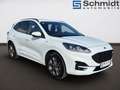 Ford Kuga 2,5 Duratec FHEV AWD ST-Line Aut. Weiß - thumbnail 5