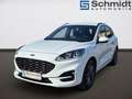 Ford Kuga 2,5 Duratec FHEV AWD ST-Line Aut. Weiß - thumbnail 1