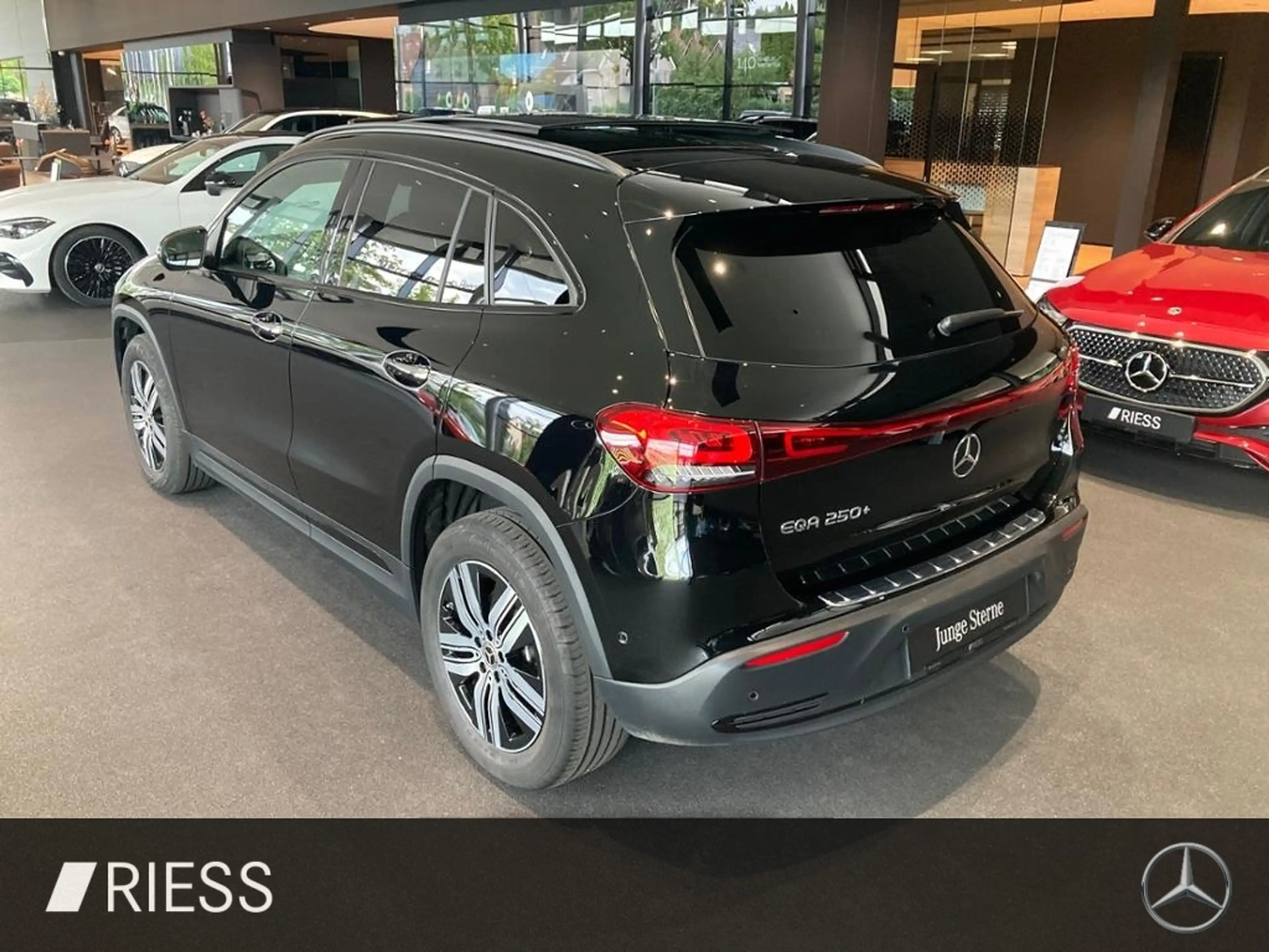Mercedes-Benz EQA 250 + ELECTRIC ART PANO DC NIGHT 360 ADV+ MEM — photo 5
