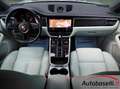 Porsche Macan 2.0 265CV PDK AUTOMATICA, PASM, PELLE ESTESA Grau - thumbnail 22