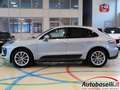 Porsche Macan 2.0 265CV PDK AUTOMATICA, PASM, PELLE ESTESA Grau - thumbnail 25
