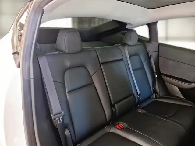Tesla Model Y view 11