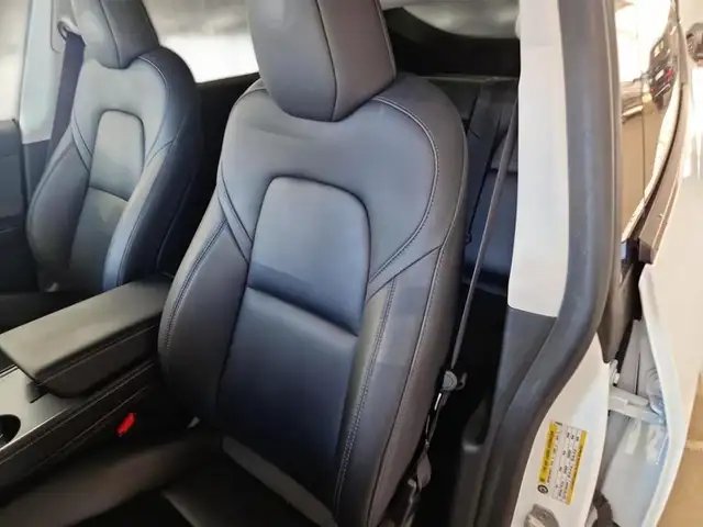 Tesla Model Y view 9