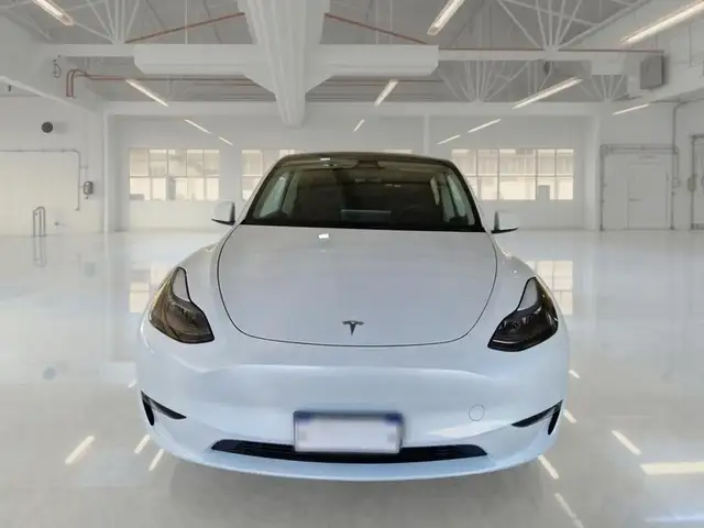 Tesla Model Y view 2