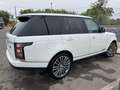 Land Rover Range Rover Range Rover 3.0 TDV6 Vogue Aut. Blanco - thumbnail 2