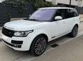 Land Rover Range Rover Range Rover 3.0 TDV6 Vogue Aut. Blanco - thumbnail 6