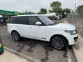Land Rover Range Rover Range Rover 3.0 TDV6 Vogue Aut. Blanco - thumbnail 3